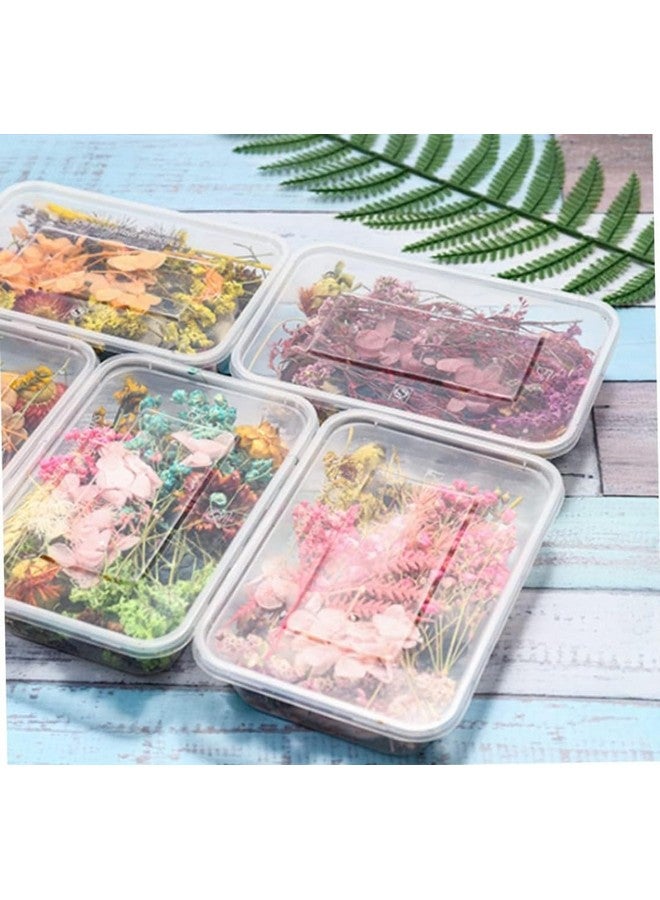 VRB DecTM 2 صندوق زهور طبيعية مجففة حقيقية لفن الحرف اليدوية / مجموعة فن الراتنج - مختلطة ومتعددة الألوان للصابون، الشموع الاصطناعية، دفاتر القصاصات، افعلها بنفسك، صينية الراتنج للمجوهرات، قلادة (2 صندوق - متعددة الألوان) - Image 3