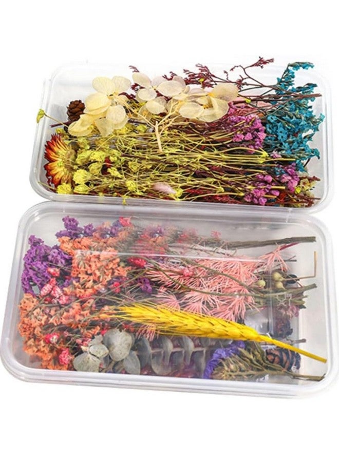 VRB DecTM 2 صندوق زهور طبيعية مجففة حقيقية لفن الحرف اليدوية / مجموعة فن الراتنج - مختلطة ومتعددة الألوان للصابون، الشموع الاصطناعية، دفاتر القصاصات، افعلها بنفسك، صينية الراتنج للمجوهرات، قلادة (2 صندوق - متعددة الألوان) - Image 1