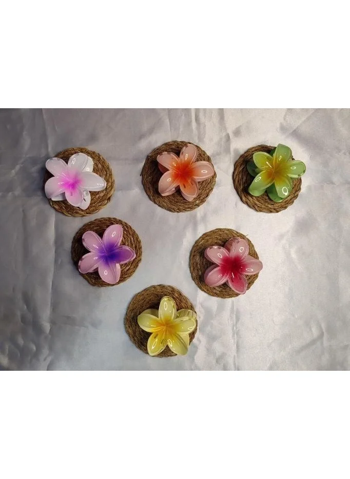 Dzc Kuzenler Avm Dzc Cousins ​​Avm Colorful Lotus Flower Latch Buckle Set of 6