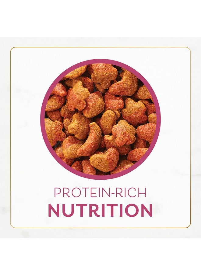 فانسي فيست طعام القطط الجاف فانسي فيست من بورينا، بنكهة فيليه مينيون مع مأكولات بحرية حقيقية وروبيان، طعام قطط فاخر مع فيتامينات ومعادن مضافة، كيس قابل لإعادة الإغلاق سعة 16 أونصة (عبوة من قطعة واحدة) - Image 4