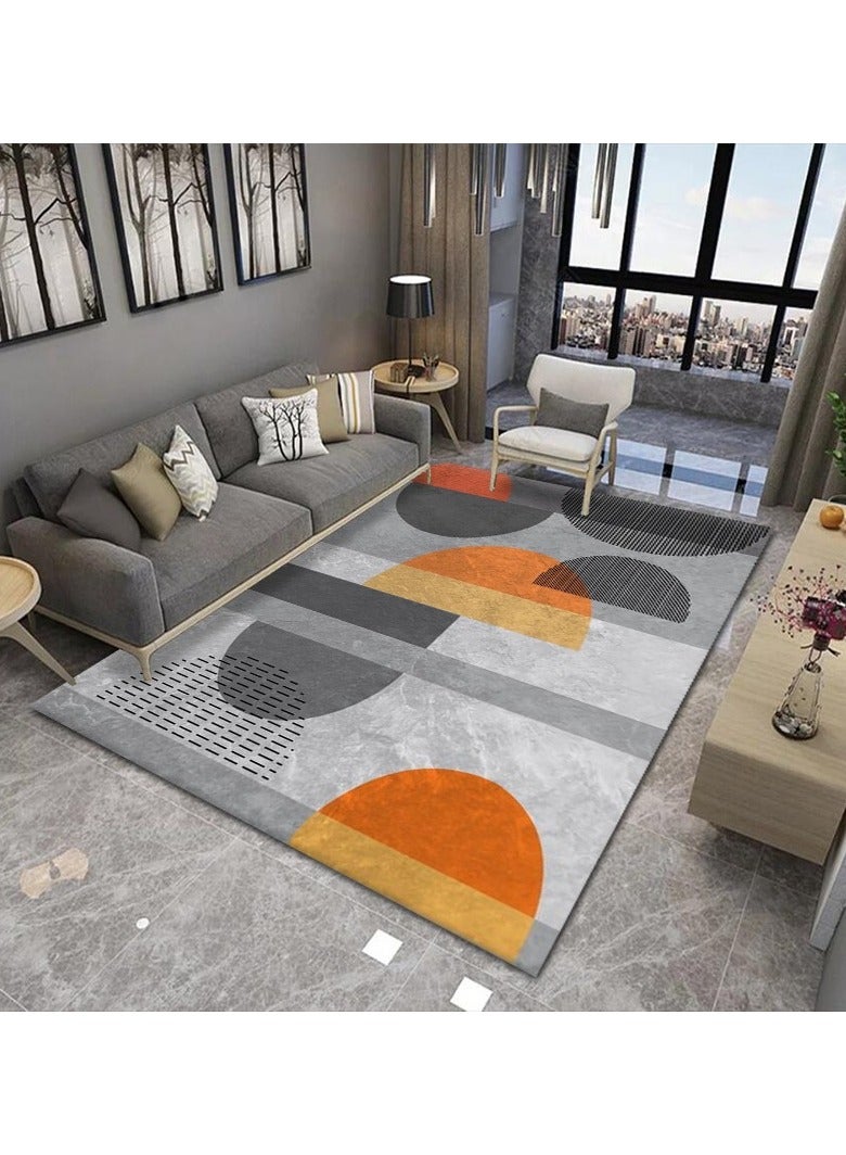 Loquat Squality Soft And Comfortable Orange Series Modern Minimalist Carpet