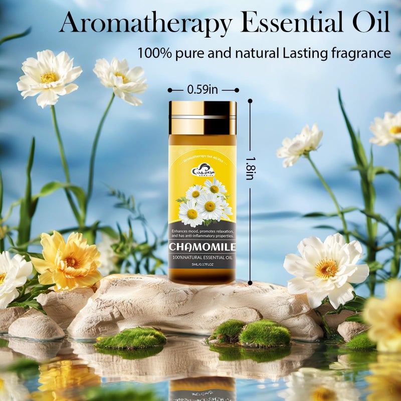 Comdian Essential Oil Set, 40 Pcs Fragrance Aromatherapy Oils for Skin, Diffusers, Home Care, Humidifier, Laundry, Candle Making - Tea Tree, Sandalwood, Lavender, Vanilla, Eucalyptus and More(5mL) - Image 2