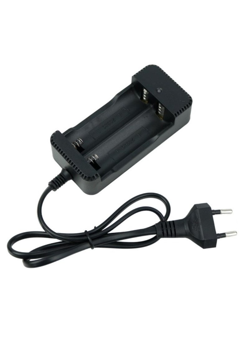 Battery Charger for Rechargeable Batteries - 4.2V / 1000MA  - Image 2