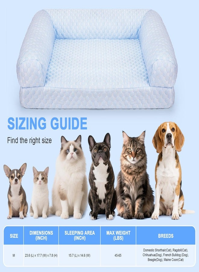 Foamio Round Cat Beds for Indoor Cats, Cat Sofa, Sofa for Small Dogs - Image 4