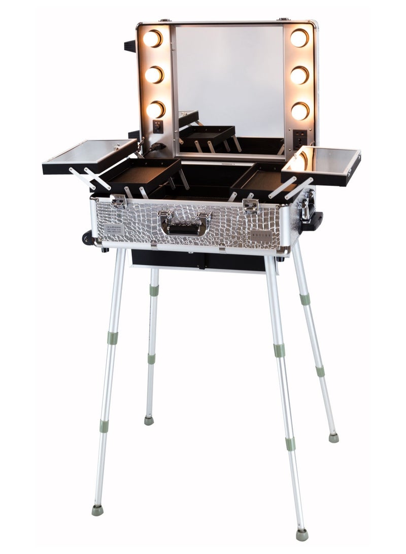 MAYLAN Makeup Train Stand Case With Pro Studio Artist Trolley And Lights, Silver  Medium - Image 1