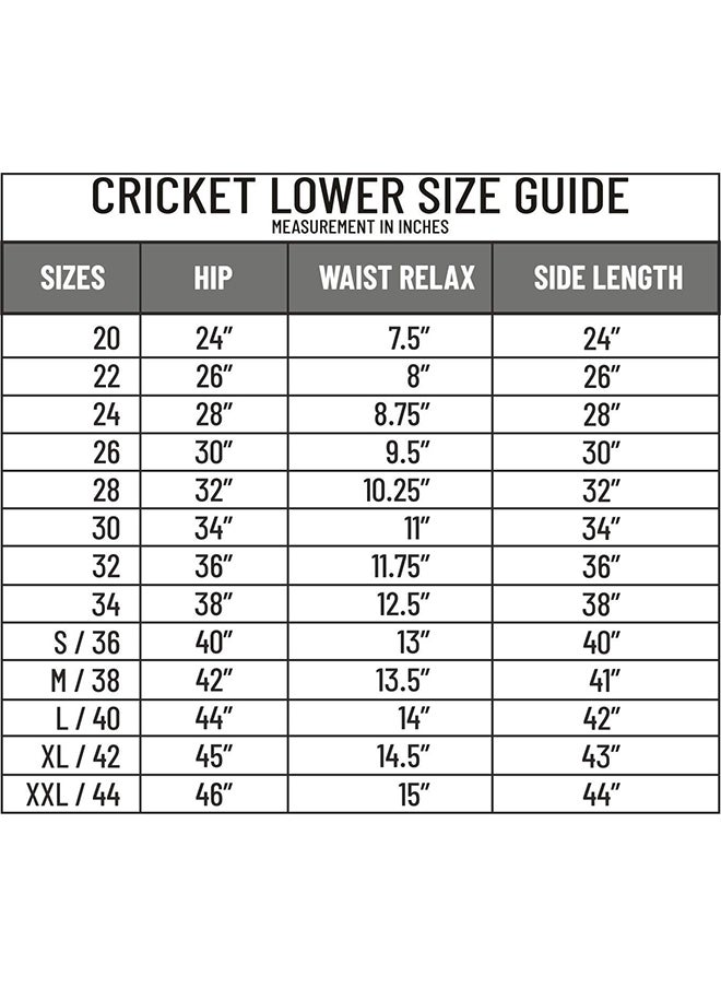 DSC - Passion Men's Cricket Pant | Material: Polyester | Ankle Length | Full Elastic Waist | Moisture Wicking - Image 1