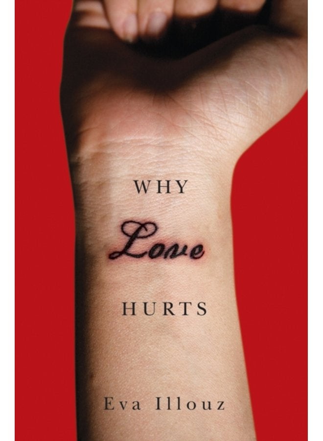 Why Love Hurts A Sociological Explanation - Paperback