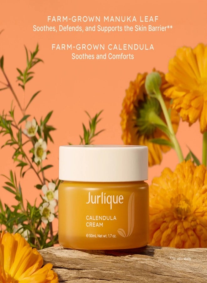 Jurlique Calendula Cream - 1.69 Fl Oz - Soothing Face Cream for Women - For Sensitive & Eczema-Prone Skin - Calming Natural Skincare - Australian Natural-Based Skincare - Image 3