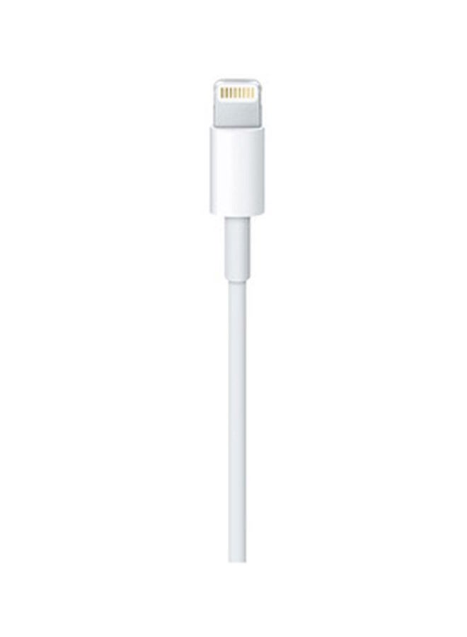 ابل  كابل من لايتنينج إلى USB بطول 1 متر أبيض - Image 3