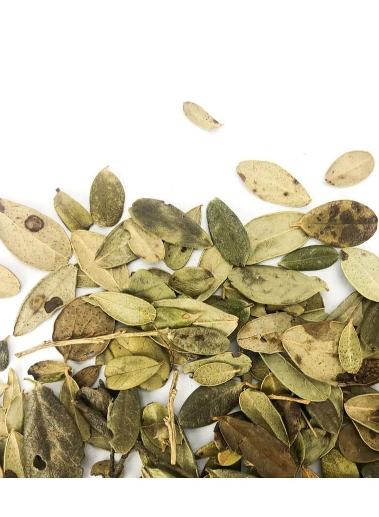 Tealand Herbal Cowberry Leaves Tea Antioxidant Rich Natural & Pure Taste 40g - Image 3