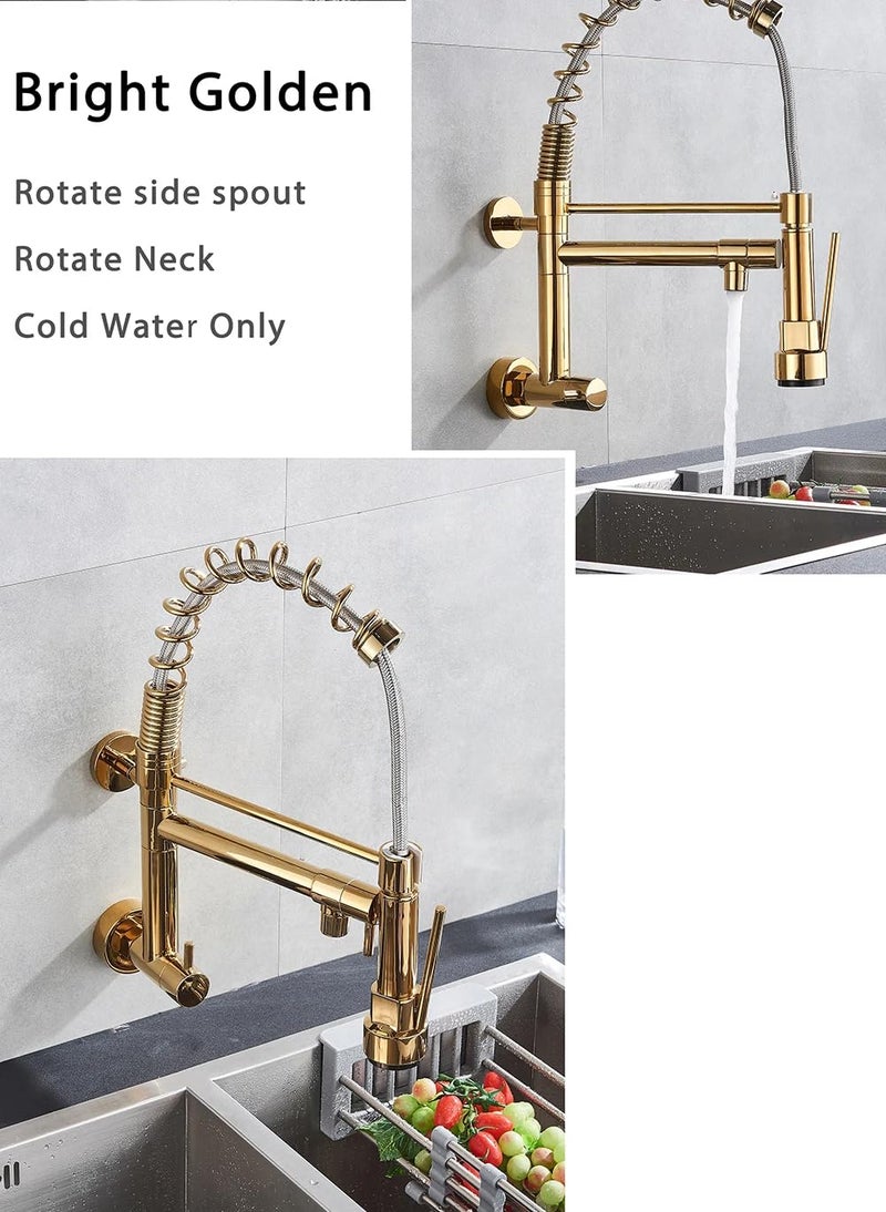 B BACKLINE صنبور حوض الجدار من النحاس B Backline مع 2 فوهة وصنبور مطبخ قابل للسحب ذهبي - Image 4