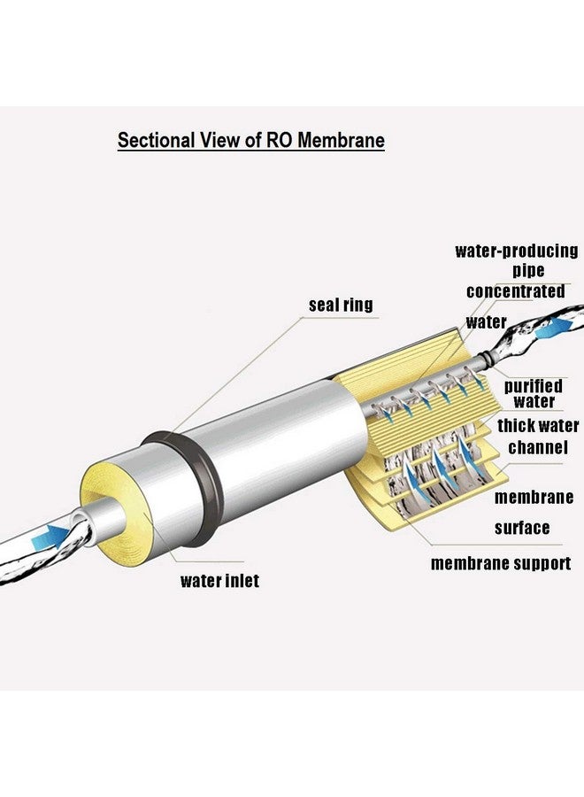 RUIQUAN ANP RO Membrane for All Water Purifier 100 GPD 2500 TDS MAMBRANE (ANP 100 GPD MAMBRANE -Blue) - Image 4