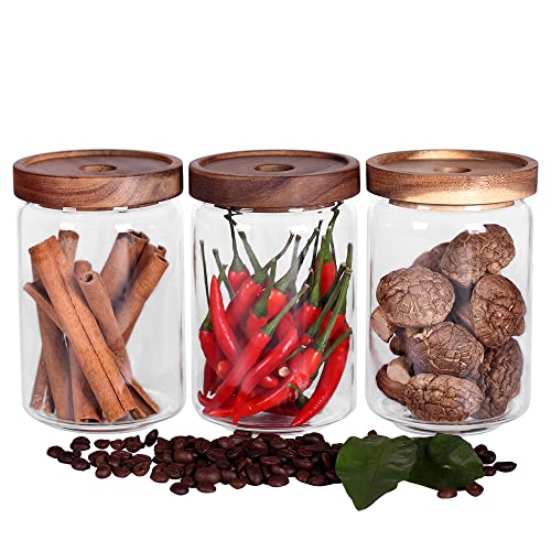 SAIOOL Glass Jars Food Storage Containers with Airtight Acacia Lids 20FL OZ600ml Glass Canisters Set3 Clear Containers Suit for Storing Tea Coffee Flour Candy Cookie Rice Sugar Pasta