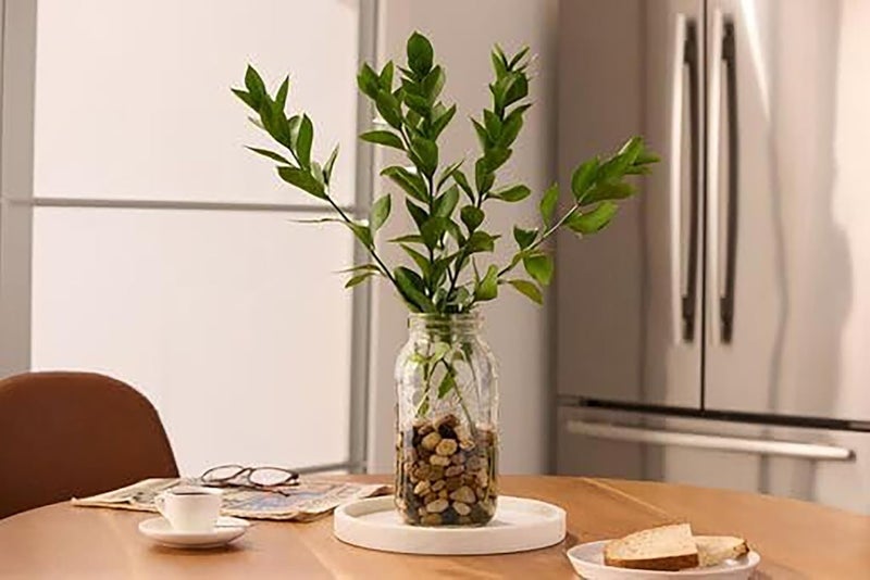 Ball جرار زجاجية بسعة 64 أونصة بفم واسع مع أغطية وأشرطة - مجموعة 5 جرار | جرة زجاجية كبيرة سعة نصف جالون لتخزين الطعام مع غطاء محكم، جرة زجاجية سعة 0.5 جالون مع غطاء وأشرطة، مجموعة من 5 - Image 5