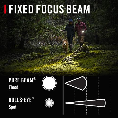 Coast Slayer 1150 Lumen USB-C Rechargeable LED Flashlight with Spot/Flood, Memory Mode and Pocket Clip, Silver - Image 5