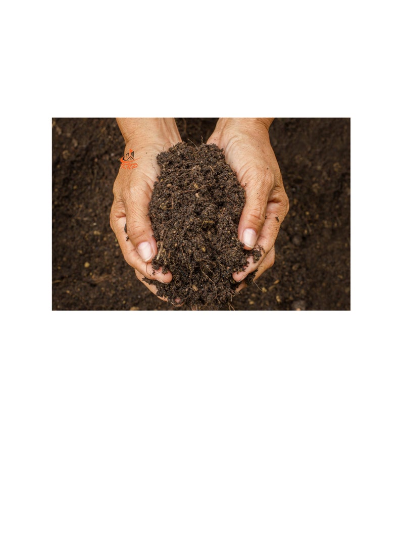 KNP Potting Soil Best For Indoor Plants 40L - Image 1