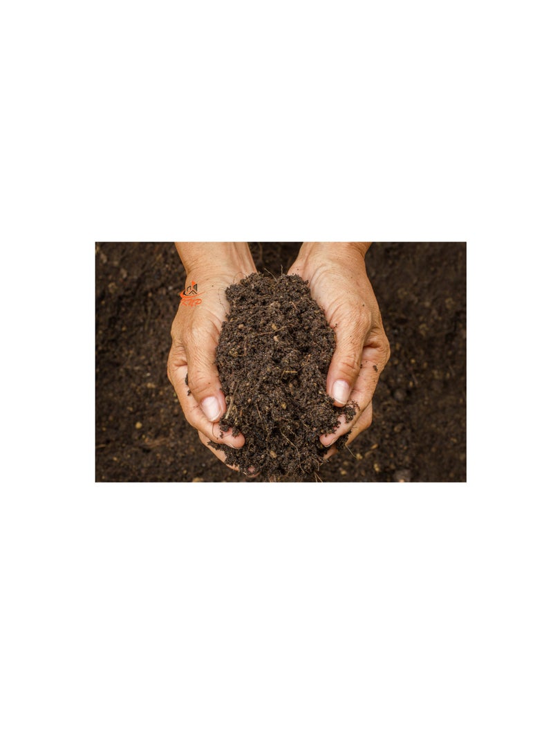 KNP Potting Soil Best For Indoor Plants 40L - Image 2
