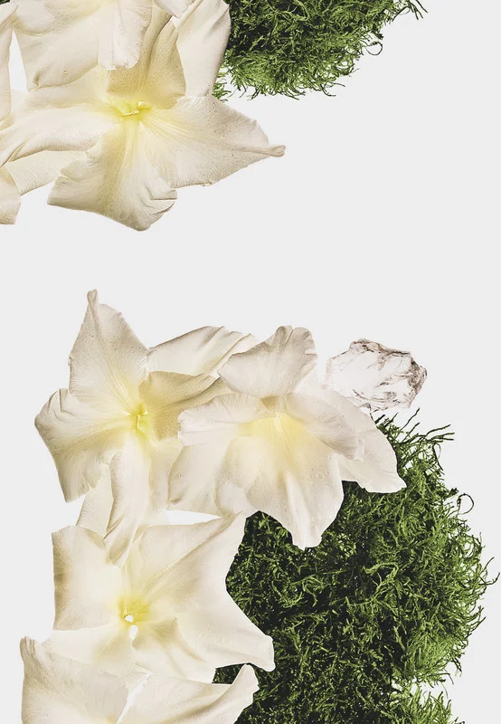 CALVIN KLEIN CK Cotton Musk Unisex Hair & Body Perfume Mist 236ml