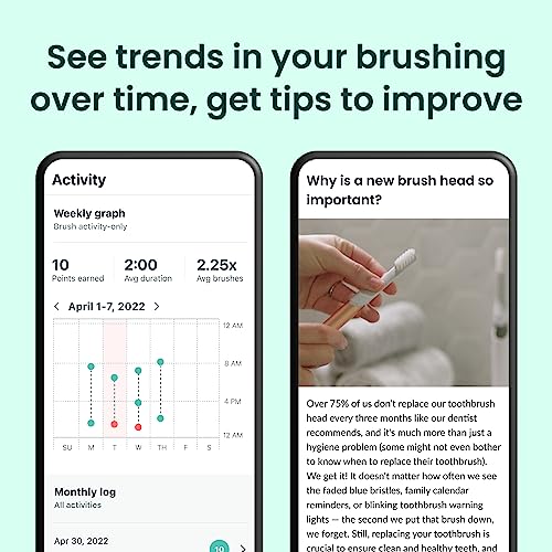 Quip Smart Sonic Toothbrush for Adults - Timed Electric Toothbrush with Bluetooth & Rewards App - Replaceable Brush Head, Soft Bristles, Metal Handle, 3 Month Battery Life - Travel Brush - All-Pink - Image 4