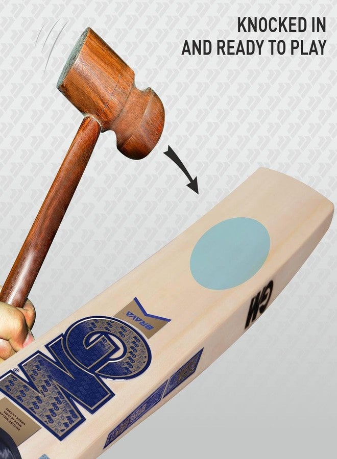 جنرال موتورز مضرب كريكيت GM Brava Maxi من خشب الصفصاف الإنجليزي للرجال، مقاس 6 - Image 5