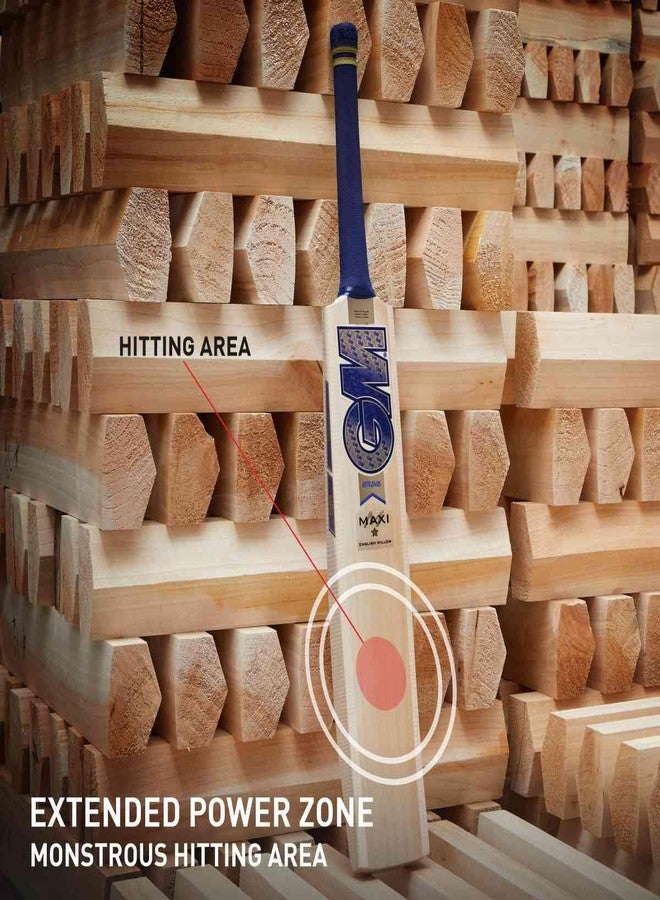 جنرال موتورز مضرب كريكيت GM Brava Maxi من خشب الصفصاف الإنجليزي للرجال، مقاس 6 - Image 2