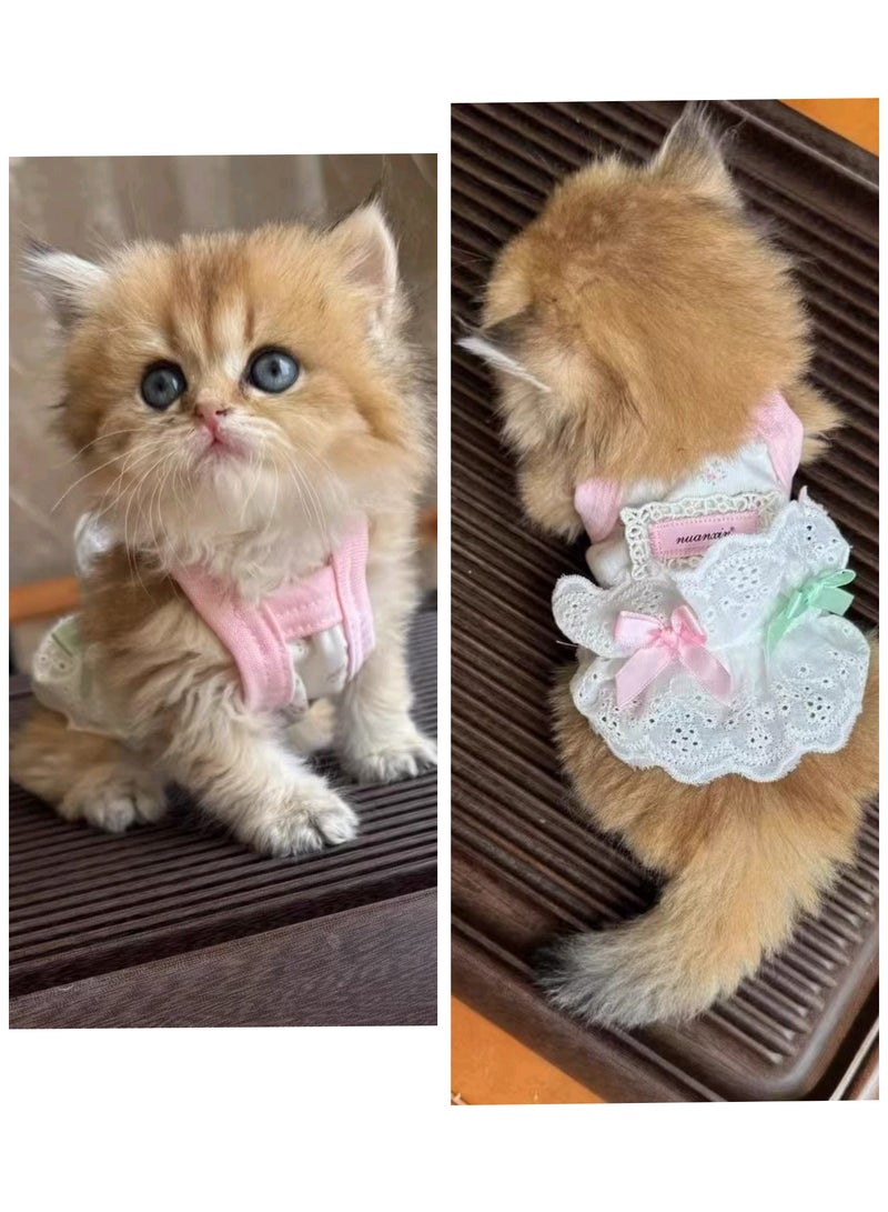 A.M Cat Princess Dress Summer Thin Anti-hair Dropping Cute Bowknot Suspender Dress Ragdoll Cat Golden Gradient Kitten - Image 1