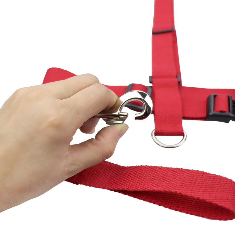 welsoon Adjustable Teens Safety Chair Strap for Older Children for Autism Special Needs ADHD Safety Teens Harness Perfect for Restaurants Mealtime Homework or Any Situation Where Sitting is Required - Image 2