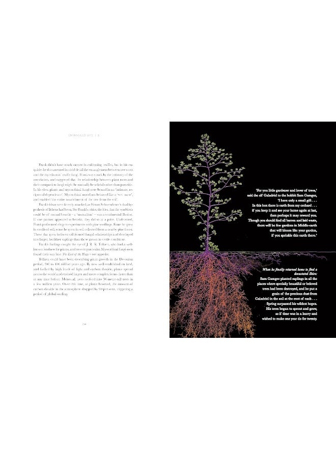 Entangled Life: The Illustrated Edition: How Fungi Make Our Worlds  - Image 4