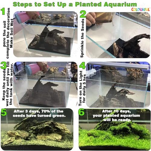 COLOURFUL - Planted Aquarium Black Soil Substrate Aqua Soil for Fish Tank | Live Planted Aquarium | Seeds and Plant Fertilizers (3Kg Soil + Lucky Plant Seeds + 5 in1 Plant Fertilizers Medicine) - Image 4