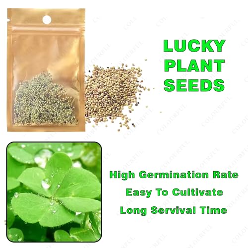 COLOURFUL - Planted Aquarium Black Soil Substrate Aqua Soil for Fish Tank | Live Planted Aquarium | Seeds and Plant Fertilizers (3Kg Soil + Lucky Plant Seeds + 5 in1 Plant Fertilizers Medicine) - Image 3