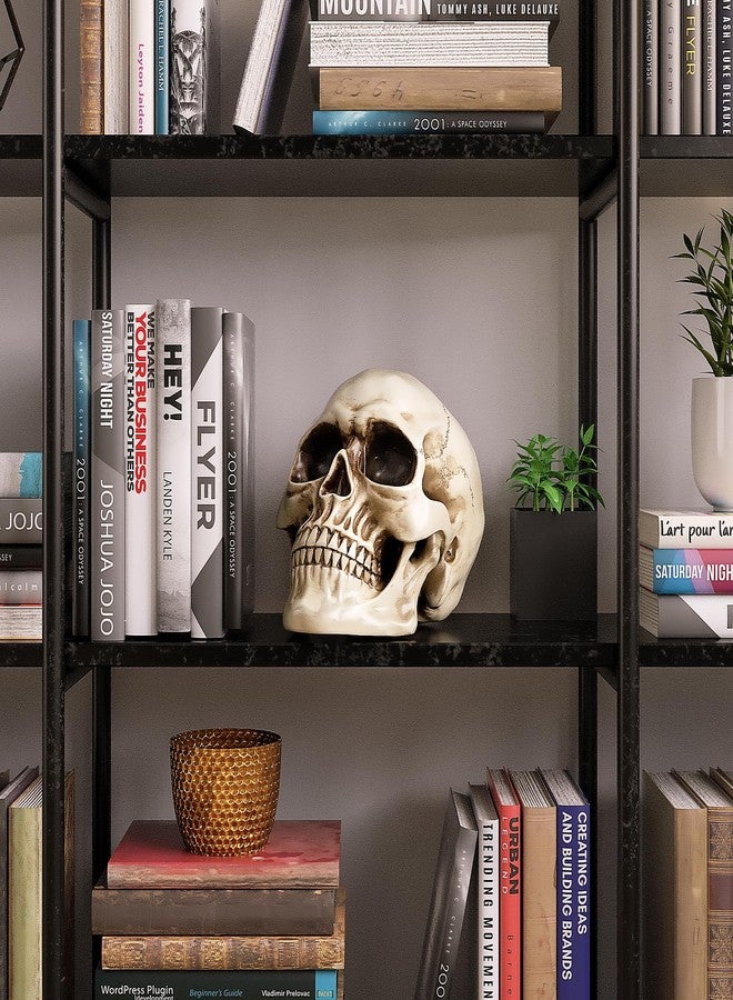 READAEER Life Size Resin Skull, Large Size Adult Skull Head Model for Home Decoration, Halloween Skull Statue, Human Skull Head Model (White) - Image 3