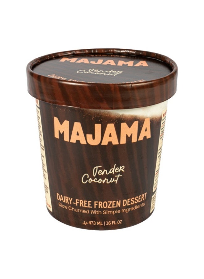 Ice Cream, Tender Coconut - 473ml, UAE