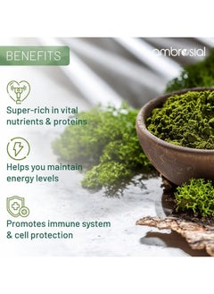 ambrosial Pack Of 1 Spirulina Capsules 500 Mg- 120 Capsules  - Image 4