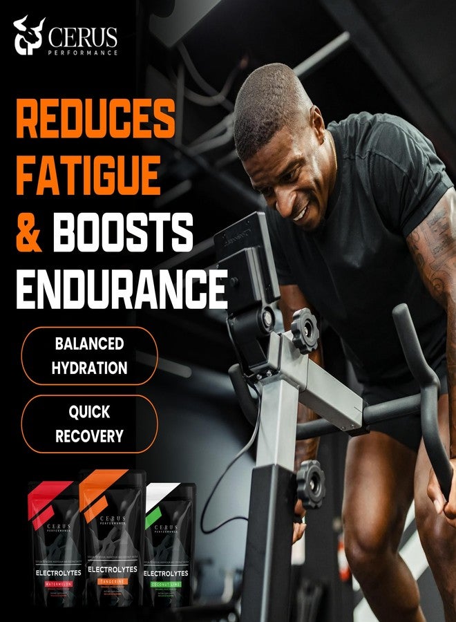 Cerus Performance Electrolyte Powder – Tangerine Flavor, 30 Servings, Zero Sugar, Coconut Water Powder & Real Fruit, Endurance & Recovery - Image 4