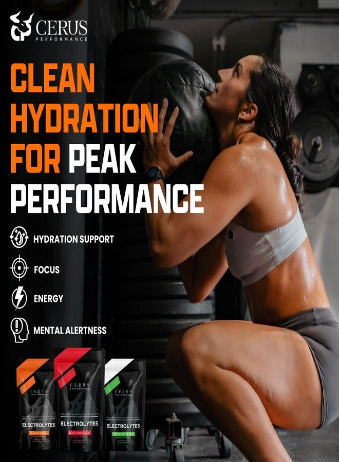 Cerus Performance Electrolyte Powder – Tangerine Flavor, 30 Servings, Zero Sugar, Coconut Water Powder & Real Fruit, Endurance & Recovery - Image 2