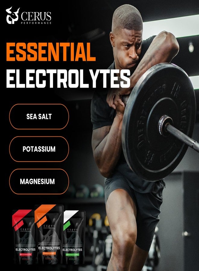 Cerus Performance Electrolyte Powder – Tangerine Flavor, 30 Servings, Zero Sugar, Coconut Water Powder & Real Fruit, Endurance & Recovery - Image 3
