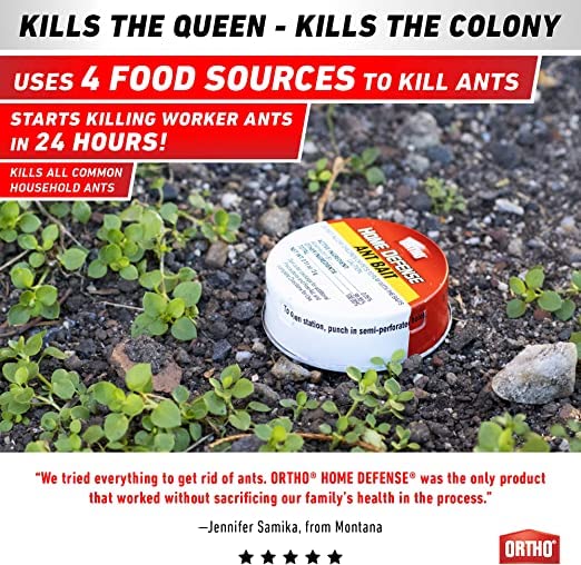 Ortho مصائد النمل الداخلية من ORTHO Home Defense 10pk - قاتل النمل المعدني واللاصق للداخل والخارج - مصائد الطعم الخارجية - Image 2