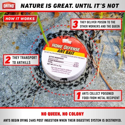 Ortho مصائد النمل الداخلية من ORTHO Home Defense 10pk - قاتل النمل المعدني واللاصق للداخل والخارج - مصائد الطعم الخارجية - Image 3