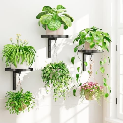 iDavosic.ly iDavosicly Wall Plant Holder Set of 3 for Indoor Outdoor Metal Hanger with 3 Hooks Floating Flower Display Stand for Window Space Saving Easy to Assemble PotsChainsPlants Not Included - Image 1