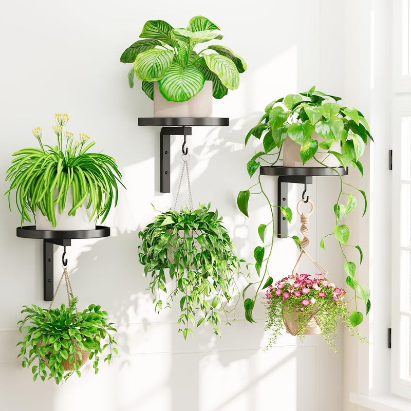 iDavosic.ly iDavosicly Wall Plant Holder Set of 3 for Indoor Outdoor Metal Hanger with 3 Hooks Floating Flower Display Stand for Window Space Saving Easy to Assemble PotsChainsPlants Not Included - Image 2