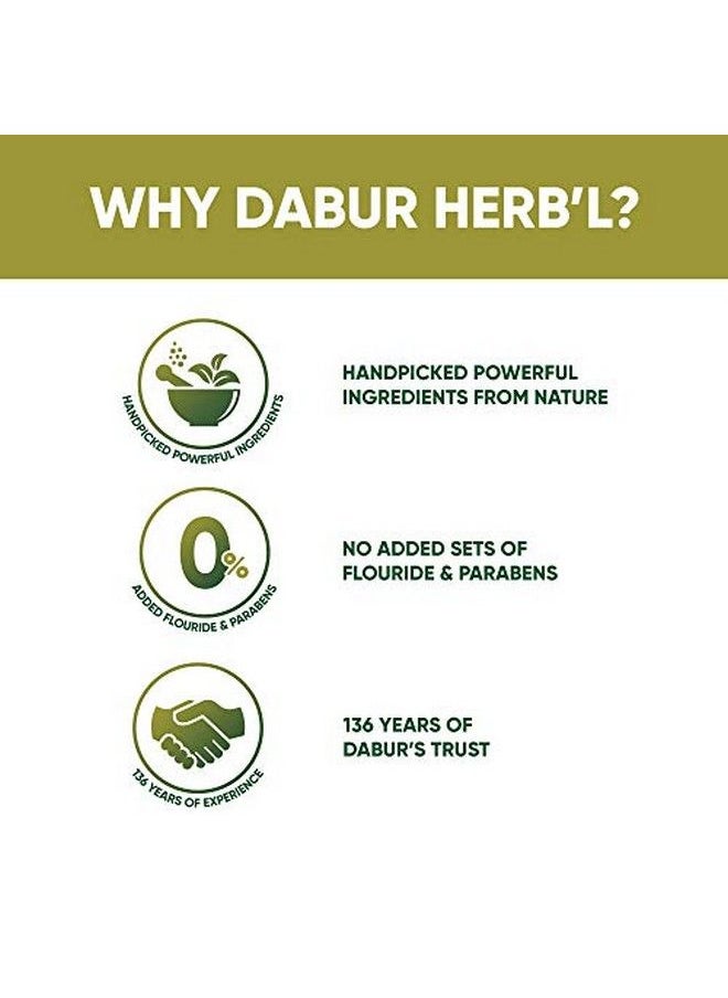 Dabur Herb'L Neem Germ Protection Toothpaste With No Added Fluoride And Parabens 200 G  - Image 4