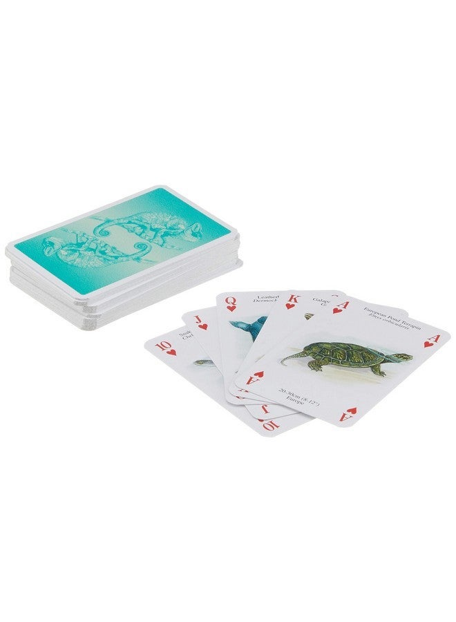 Heritage Playing Cards Heritage Playing Card Reptiles & Amphibians Cards - Image 3