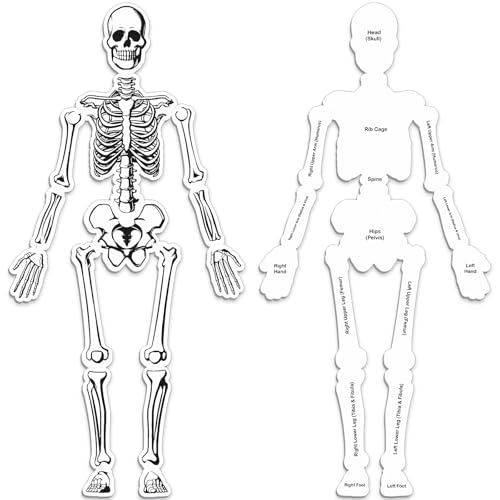 Silipull Skeleton Floor Puzzle Double Sided Human Body Puzzle 15 Pcs Human Anatomy Learning Toys Halloween Skeleton and Bones Anatomy Body Parts Model Educational Toy - Image 1