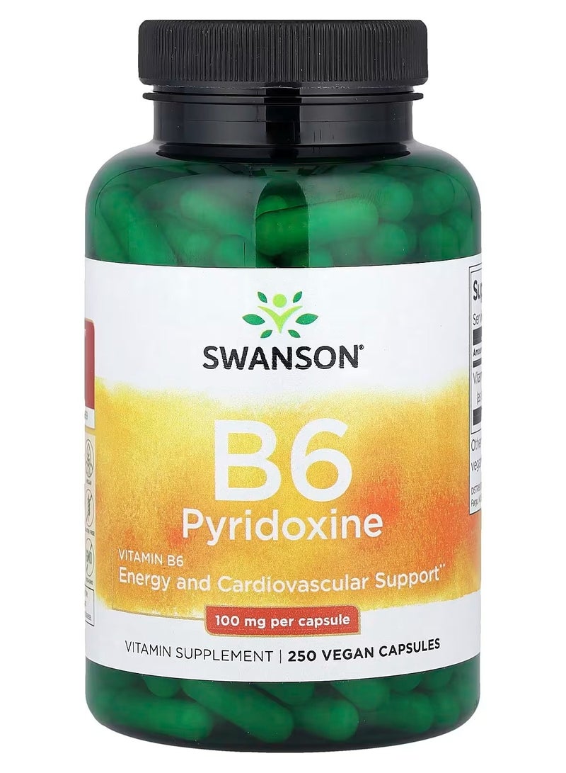 Swanson, Vitamin B6 Pyridoxine, 100 mg, 250 Vegan Capsules