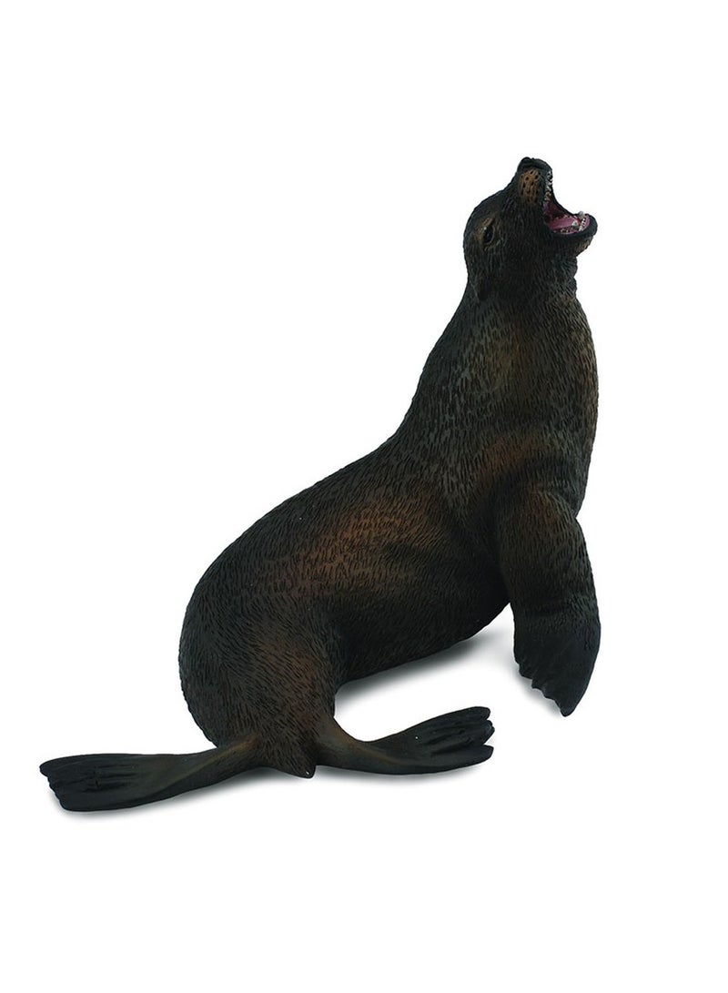 Collecta - Sea Lion - 88454