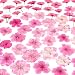 AHTONG 48 Pcs Mix Natural Dried Pressed Cherry Blossoms for Floral Cake Decorating Cocktail Garnish Resin Jewelry Making DIY Art Crafts Pink Sakura - Image 2