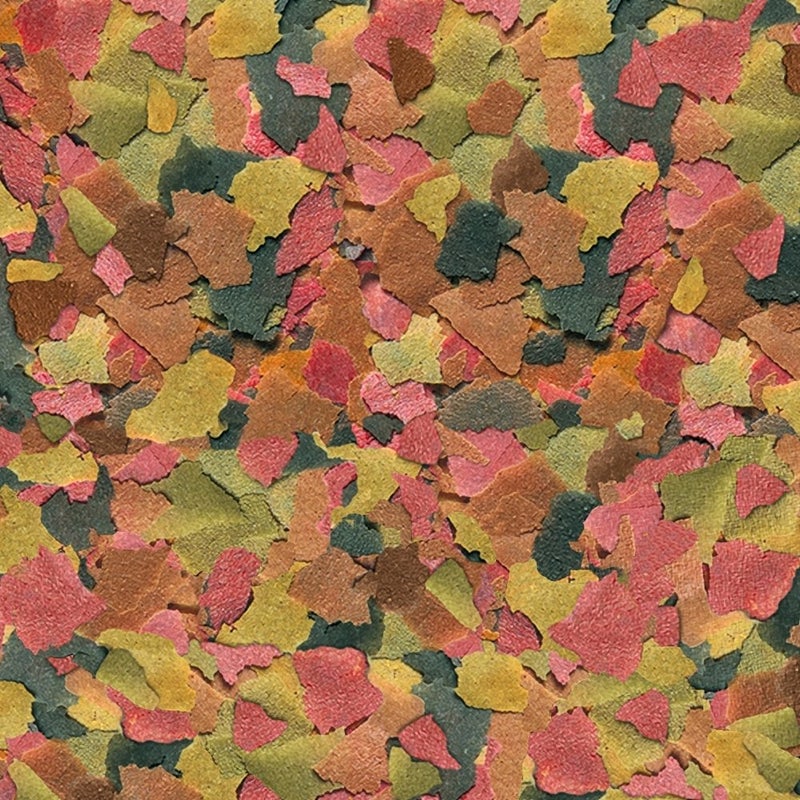 Tetra 16155 Min Large Tropical Flakes For Top/Mid Feeders, 5.65-Ounce - Image 3