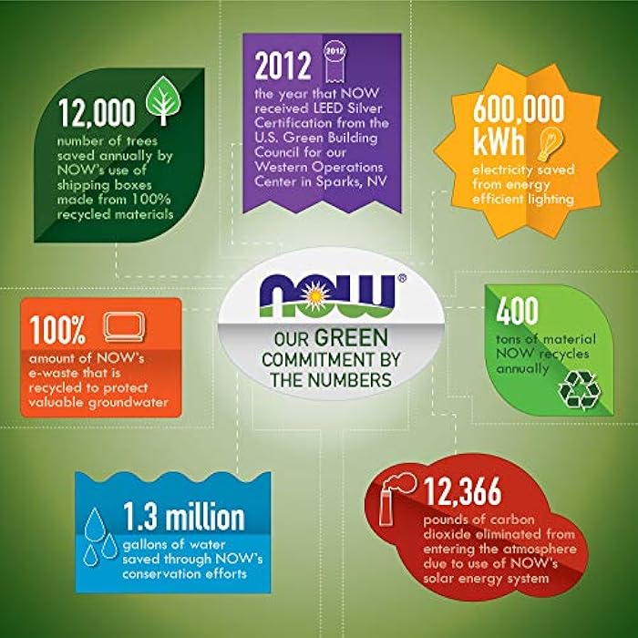 NOW Foods Now Acetyl L Carnitine 500mg, 360 Veg Capsules - Non-GMO ACL 500 mg Caps - Image 4