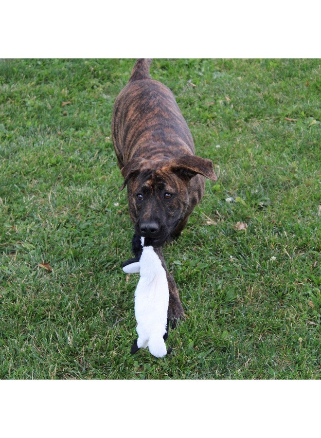 SPOT Skinneeez Stuffing Free Arctic Animal Dog Toy - with Squeaker in Head and Tail, Stuffingless Design is Great for Moderate Chewers, Tug Toy for Small Puppies & Dogs - 15in, Assorted Styles, 1 Toy - Image 5