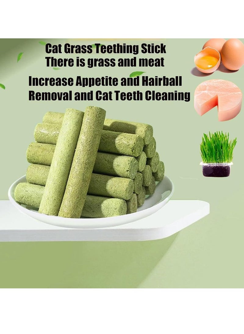 Meetion - 18PCS Cat Grass Teething Stick,Cat Grass Sticks,Cat Teeth Cleaning Cat Grass Stick,Natural Freeze Dried Cat Grass Chew Sticks for Hairball Removal, Teeth Cleaning - Image 1